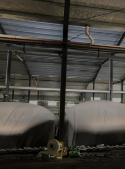 东升国际(中国游)官网 - 首页入口